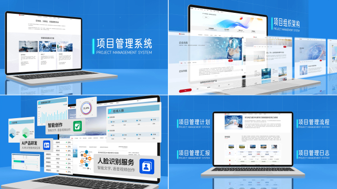 电脑网页项目管理系统