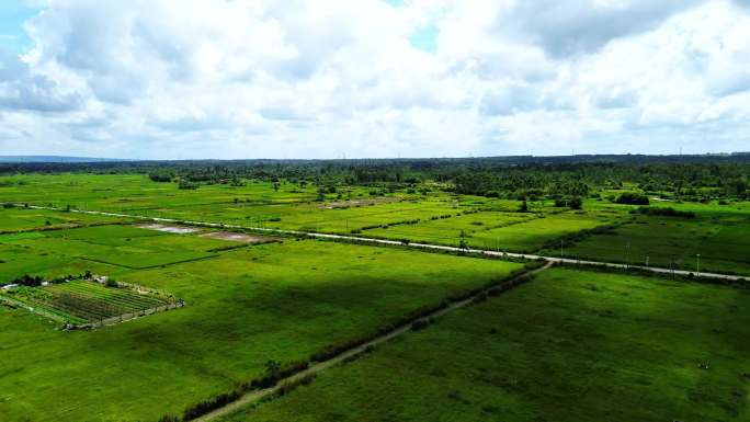 海南风光绿色稻田航拍景观