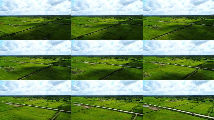 海南风光绿色稻田航拍景观