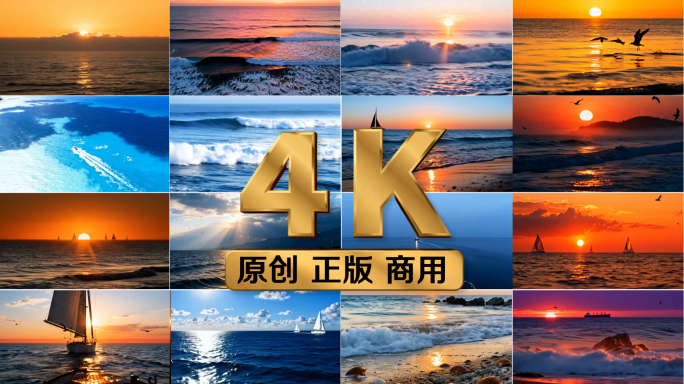 壮阔海景风光海鸥