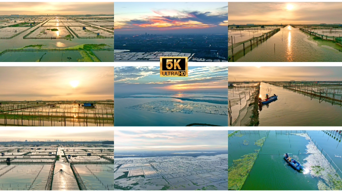 航拍水产养殖基地 阳澄湖大闸蟹