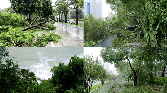 台风暴雨强降雨城市受灾现场