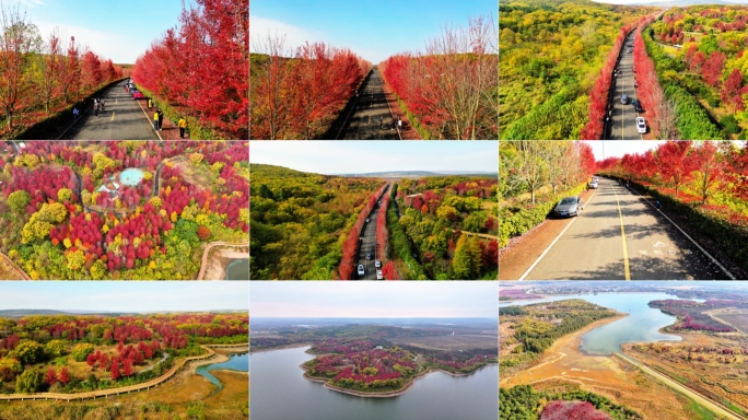 六合大泉湖枫彩漫城红枫林