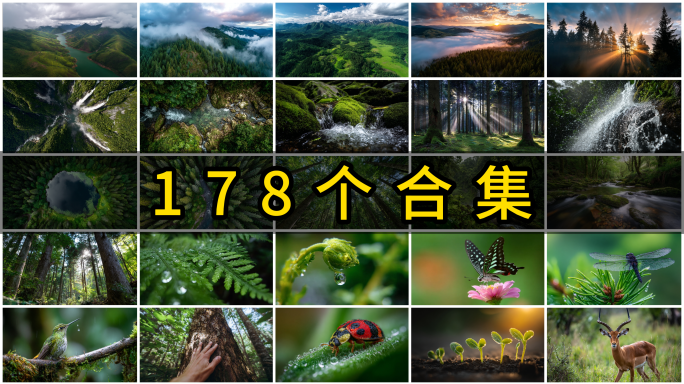 森林航拍森林延时树林自然生态山脉绿色环保