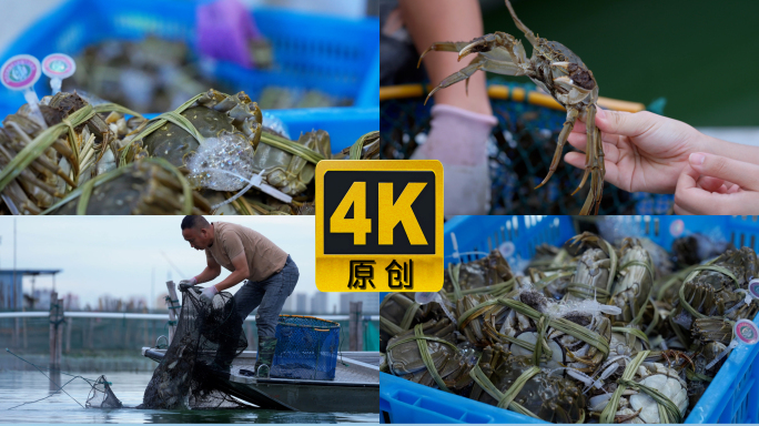 2025阳澄湖大闸蟹