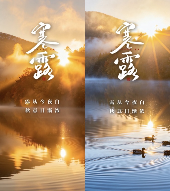 寒露节气唯美风景