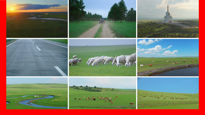 草原旅行vlog 文旅 草原风光河流羊群