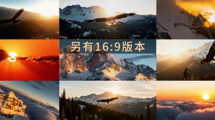 老鹰飞翔雄鹰飞行日出老鹰宽屏翱翔年会大气