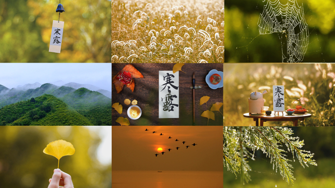 寒露 寒露节气 露水 露珠