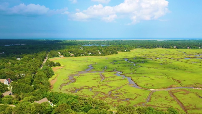 潮汐湿地的航拍，展示了小溪、泥滩和郁郁葱葱的草地，形成了夏季海岸线上的动态自然马赛克。