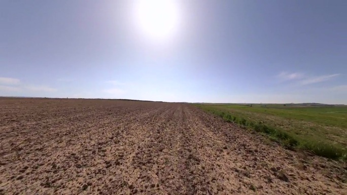 无人机拍摄西班牙穆尔西亚的橄榄和开心果种植园