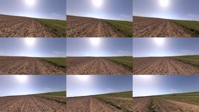 无人机拍摄西班牙穆尔西亚的橄榄和开心果种植园