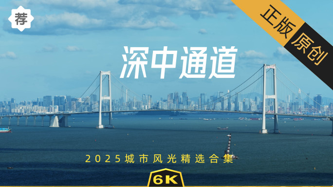 2025深中通道