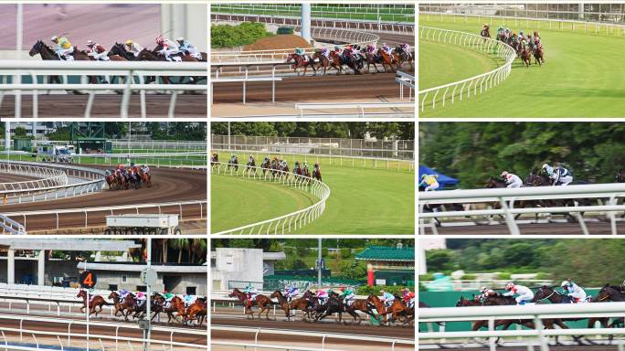赛马 马 马场冲刺
