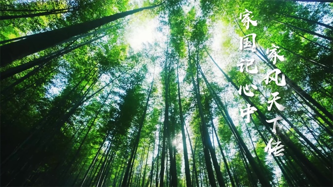 中国风水墨晕染转场动画，粒子特效文字