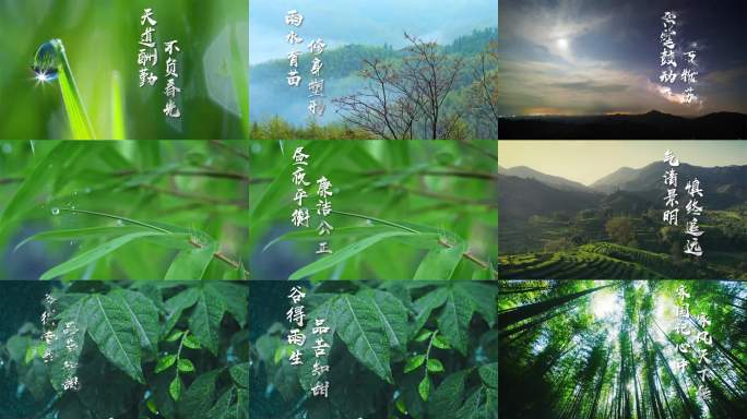 中国风水墨晕染转场动画，粒子特效文字