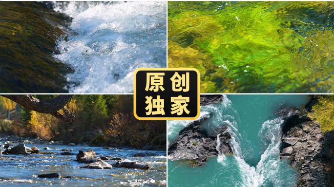 山涧溪流河流水花清澈阳光绿水新疆自然风光