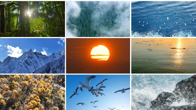 自然风景快切 片头情绪转场 空镜头快节奏