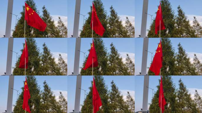 户外红旗迎风招展