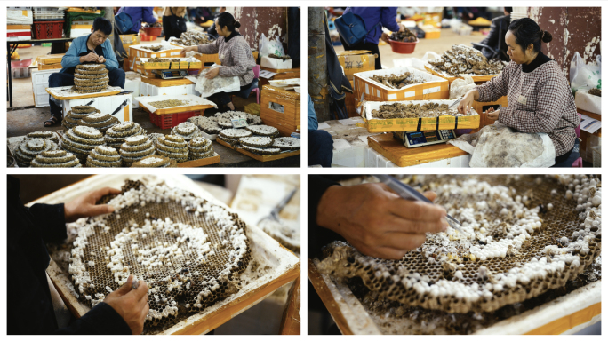 云南美食—蜂儿3