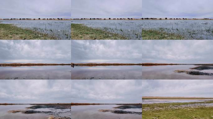 内蒙古阿拉善的湖泊，阴天湖面与草地