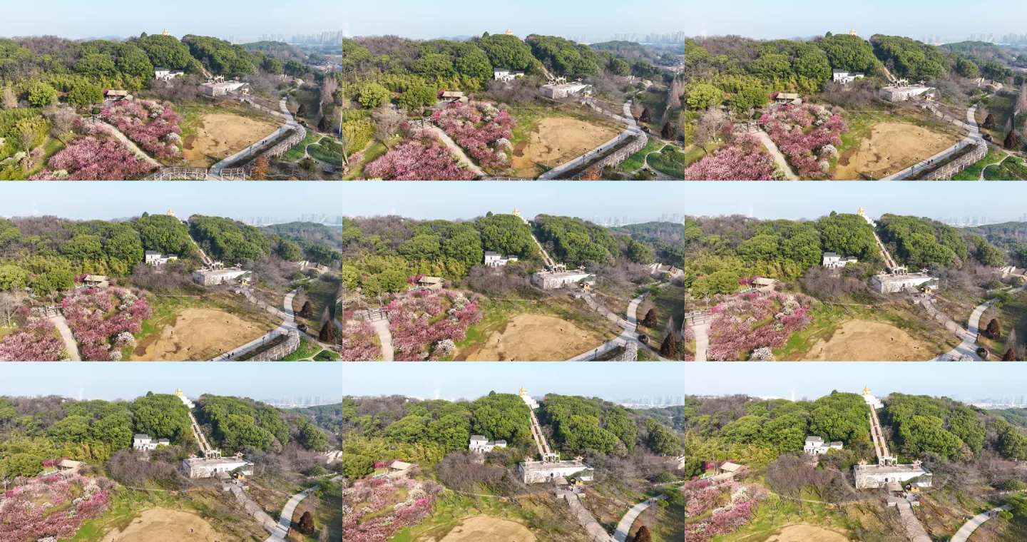 航拍山林花海古建筑