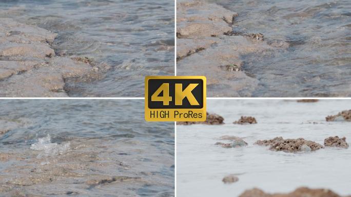 潮起潮落 海浪轻拍沙滩 海边海水小螃蟹