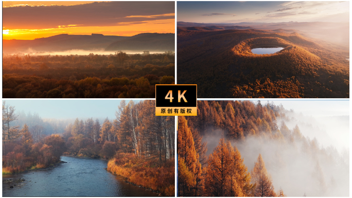 大兴安岭秋天风景白桦林森林晨雾彩林延时