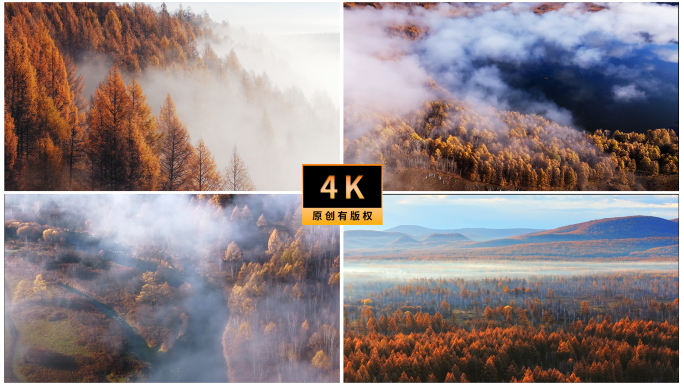 秋天大兴安岭森林云海河流晨雾日出延时合集