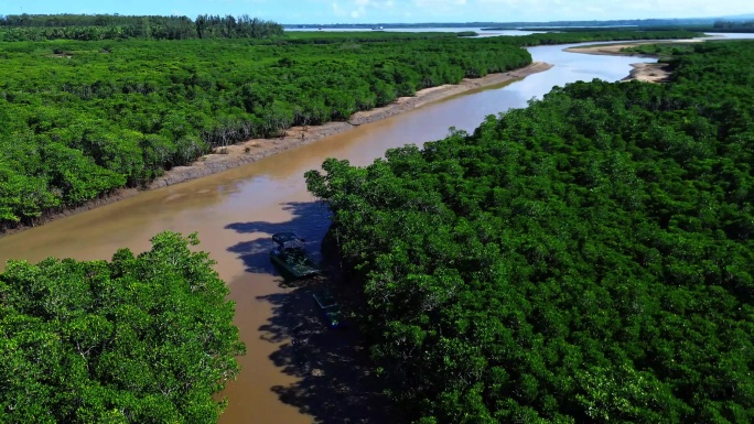 航拍海南新盈国家红树林湿地公园