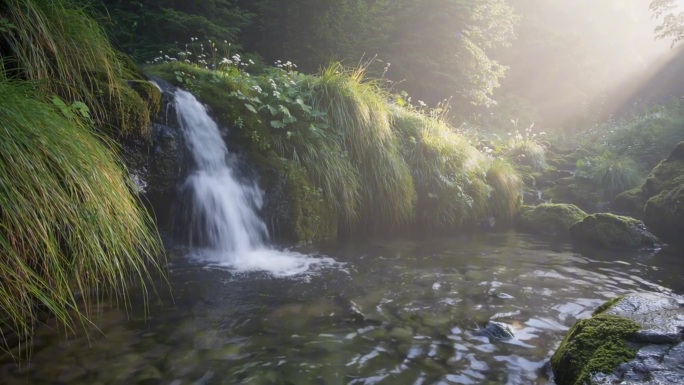 落日余晖 林间小溪