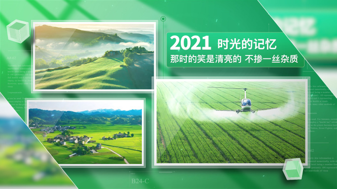 绿色多图文照片图片汇聚