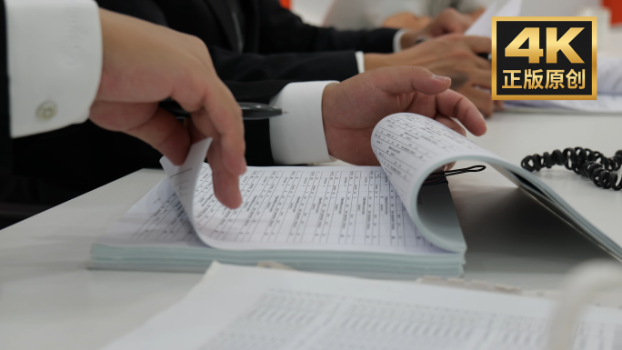 审计 查账 巡查 督查 排查