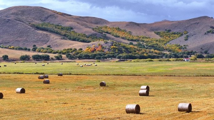 阿尔山秋天风景