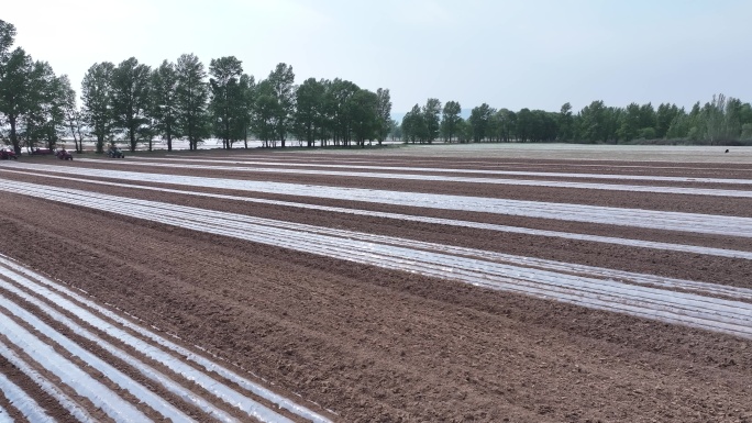 春耕覆膜农田航拍