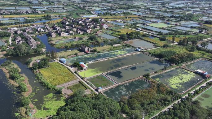 常熟唐市水乡蟹塘