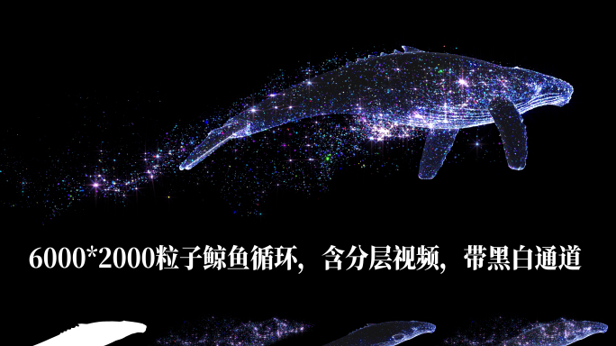 粒子鲸鱼循环 2