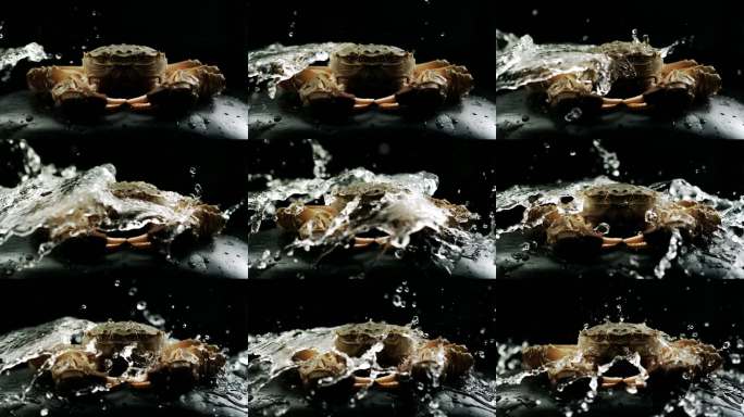 鲜活螃蟹水花慢动作