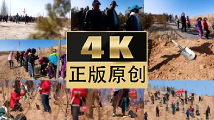 宁夏植树造林治沙防沙实践活动