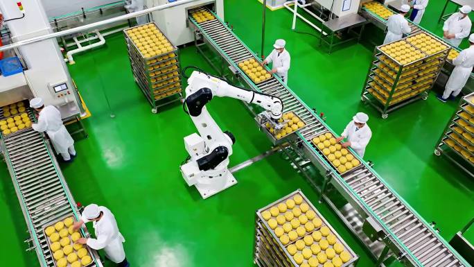 食品加工厂自动化生产线