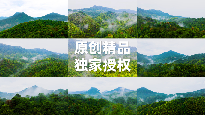 清晨雾气缭绕的高山森林