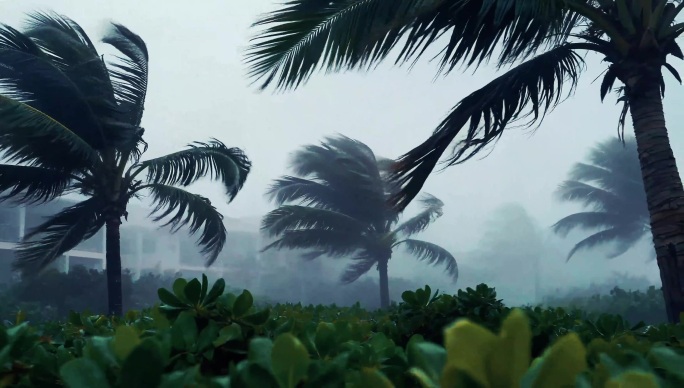 极端天气自然灾害合集台风4K