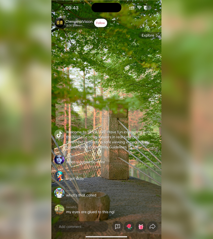 TikTok抖音直播间UI（无需插件）