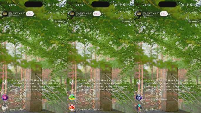 TikTok抖音直播间UI（无需插件）