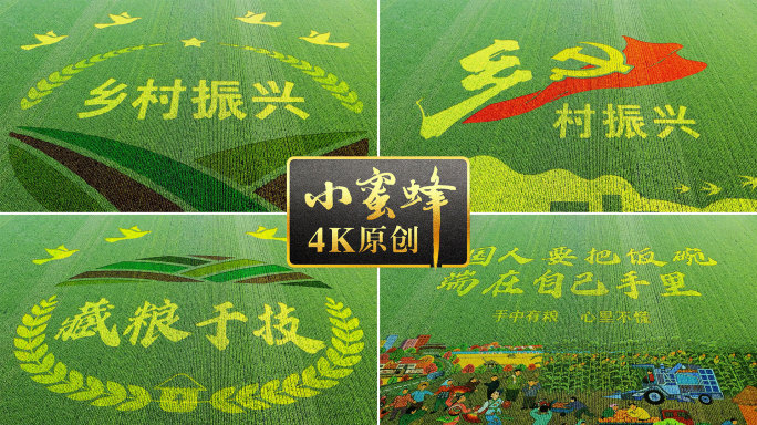 稻田字稻田画11