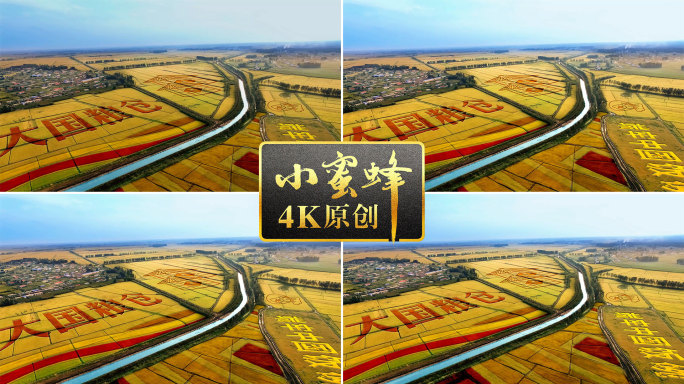 稻田字稻田画14