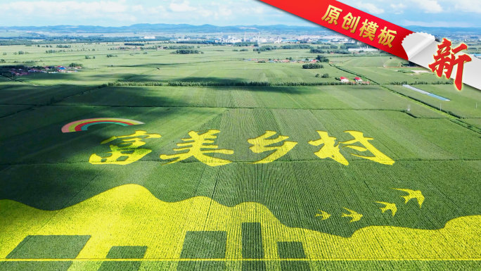 稻田字稻田画10