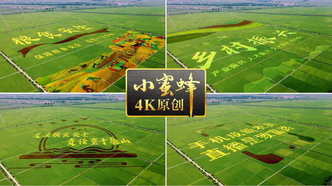 稻田字稻田画16