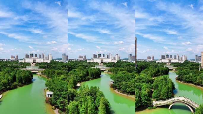 广西来宾市兴宾区桂中水城二桥竖频小视频