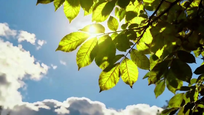夏天的蓝天白云